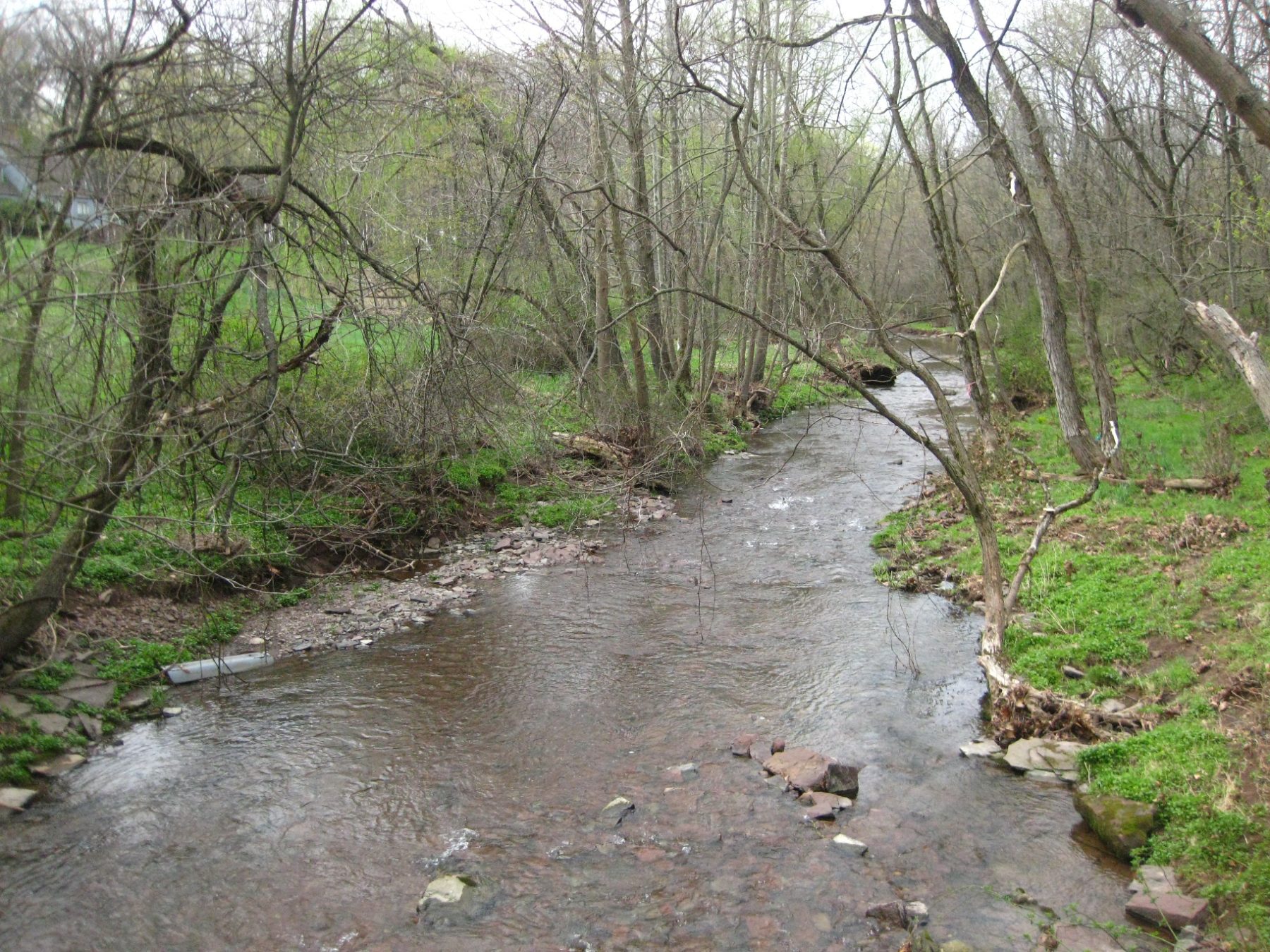 Franz Preserve – Jacobs Creek from bridge_Mackow resize (2)