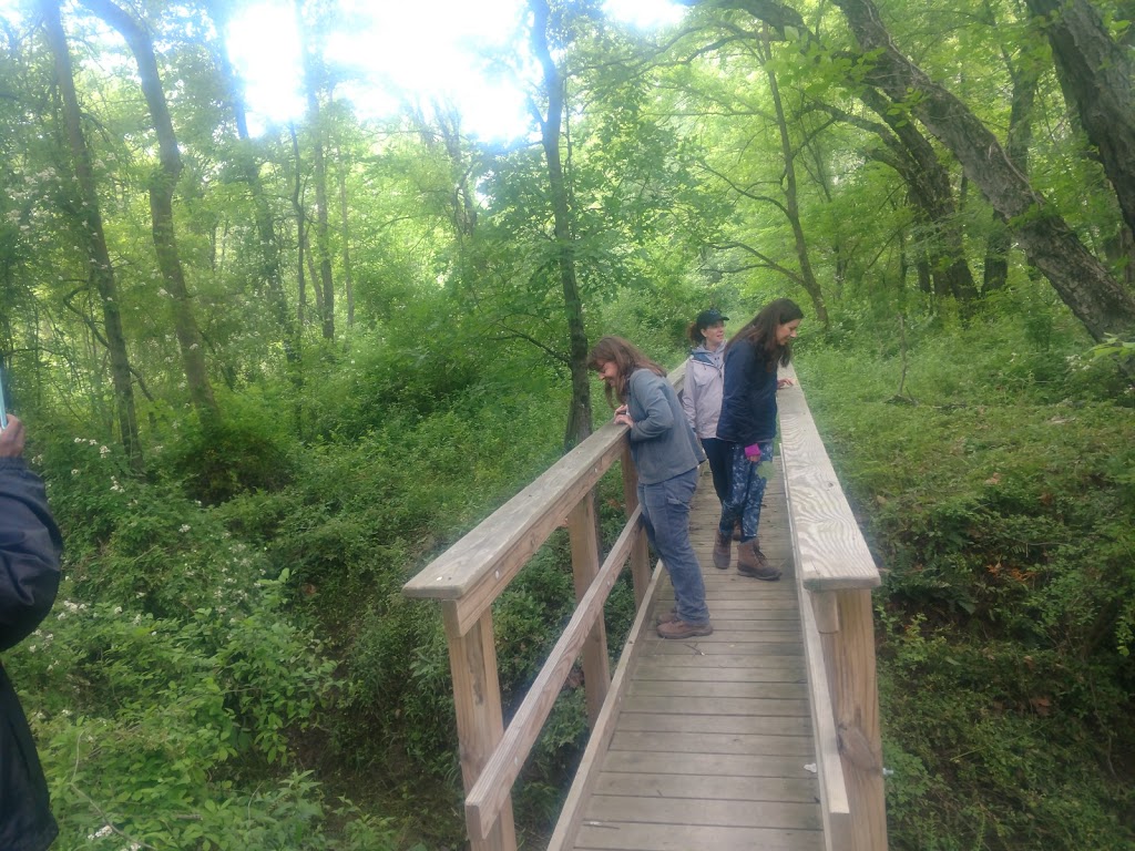 IMG_20180603_134602118.jpg